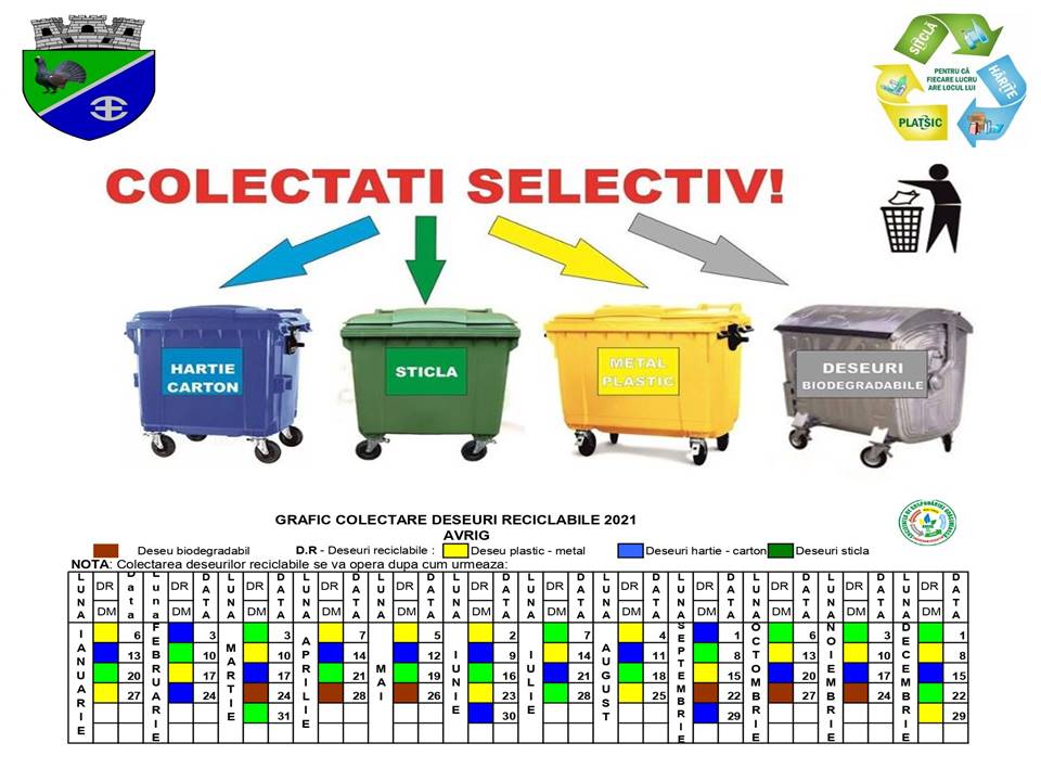 Colectare deșeuri reciclabile - Deșeu biodegradabil