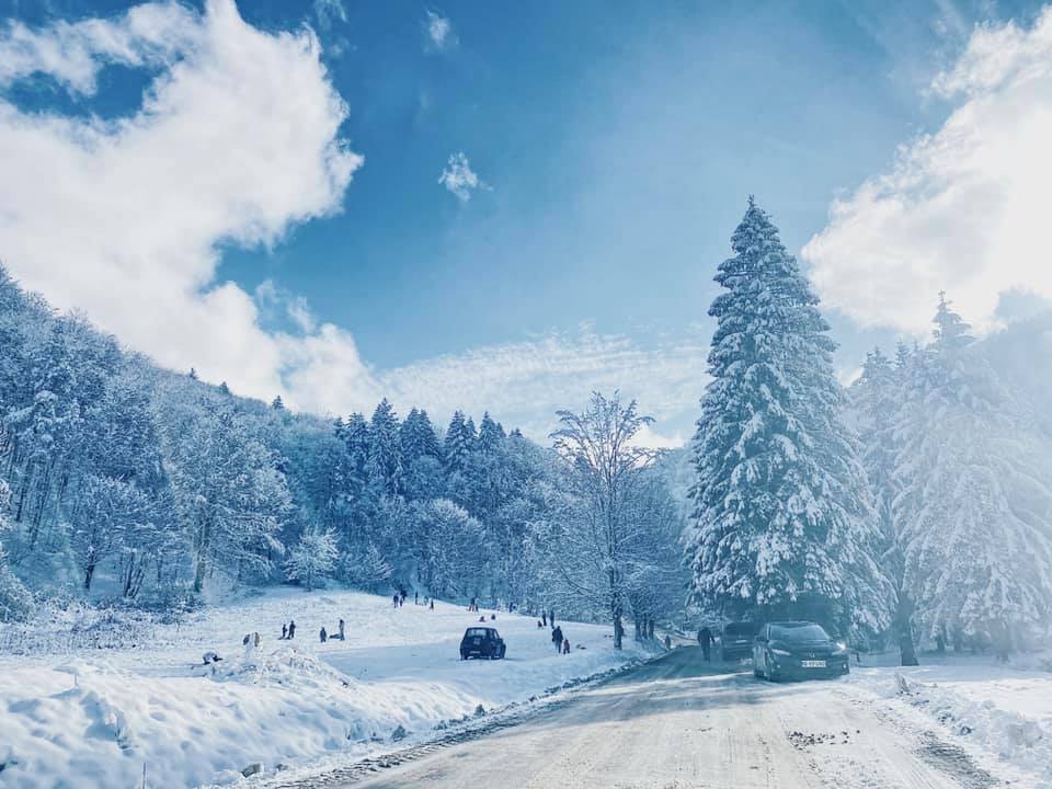 Spiritul sărbătorilor de iarnă în Zona Turistică Valea Avrigului